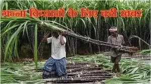 
45 लाख गन्ना किसानों के लिए बडी खबर,सरकार ने गन्ने का मूल्य 30 रुपये बढ़ाया — सीएम योगी 