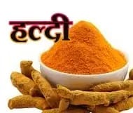 हल्दी के गुणो  का क्या आपको नही है ज्ञान,मानवजाति के कल्याण की बात!