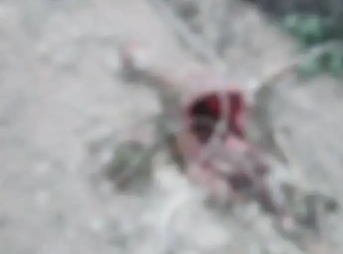 लखनऊ के रहमानखेड़ा इलाके में तेंदुए की दहशत, वन विभाग अलर्ट